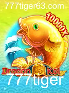 Explorando o Fascinante Mundo de DragonKoi